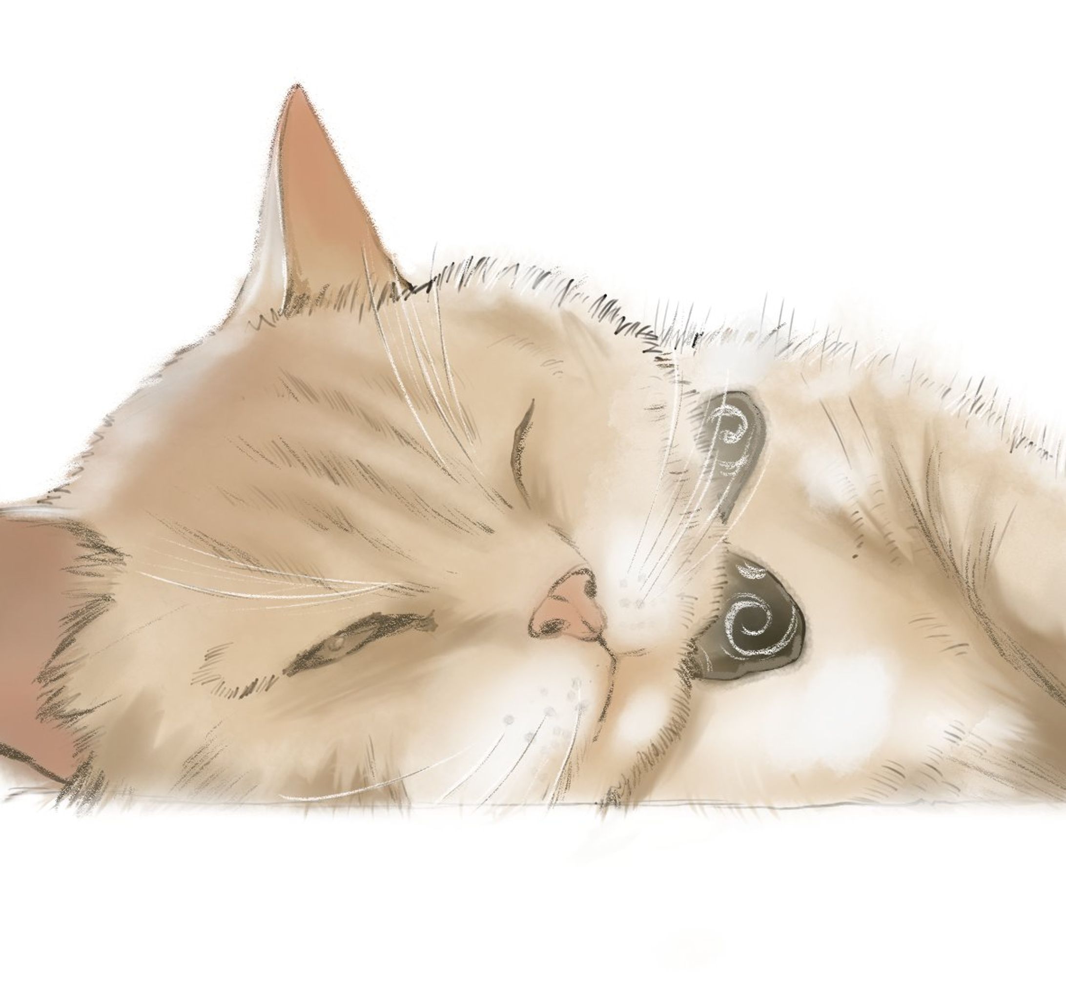 水彩カラー(1h)-1