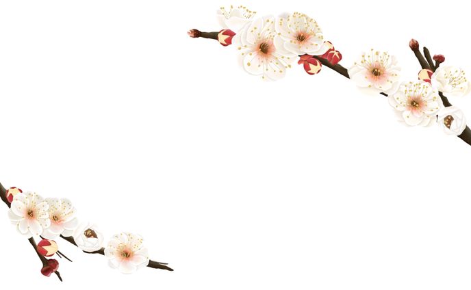 個人様　名刺用イラスト　「梅の花」
