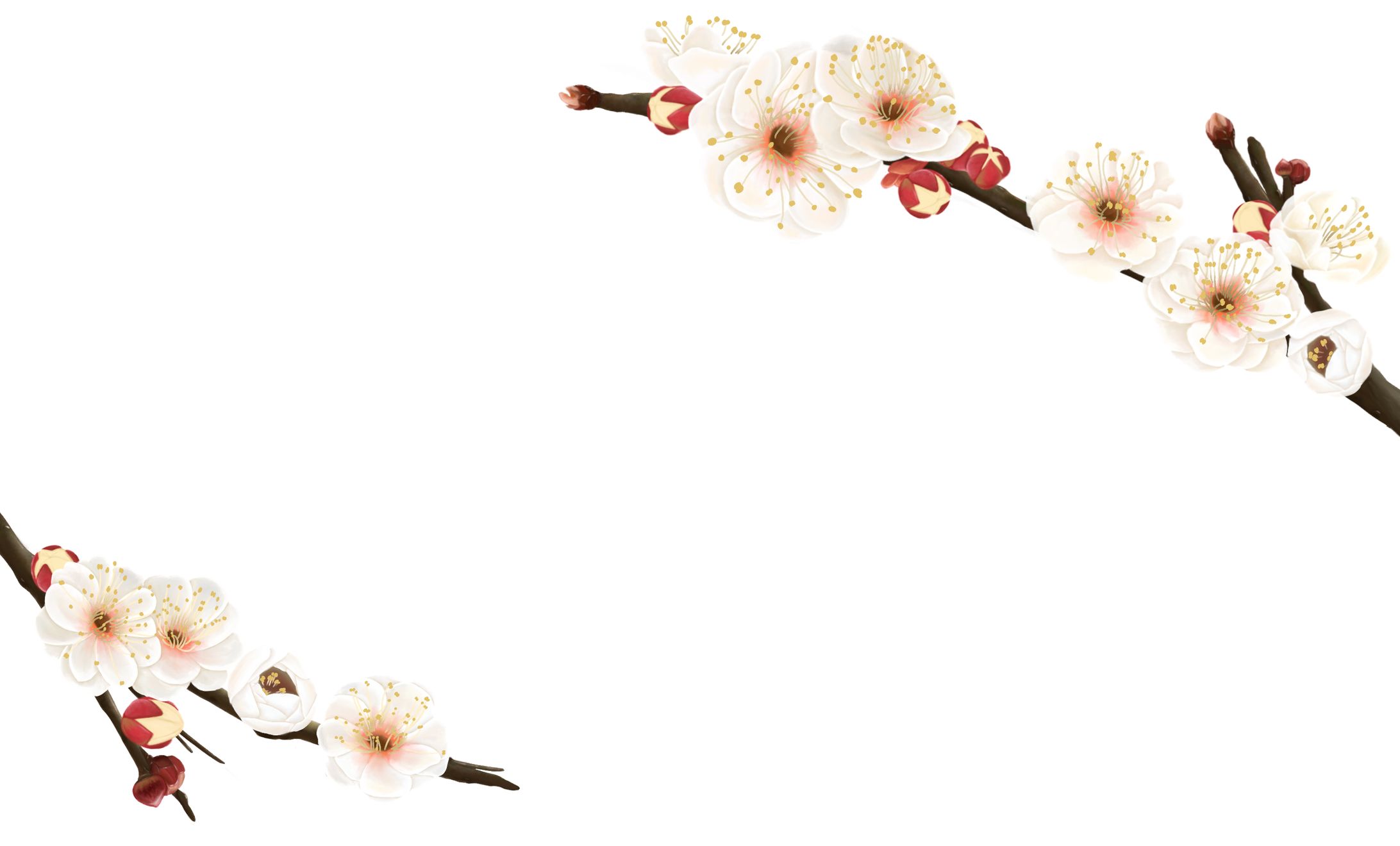 個人様　名刺用イラスト　「梅の花」-1