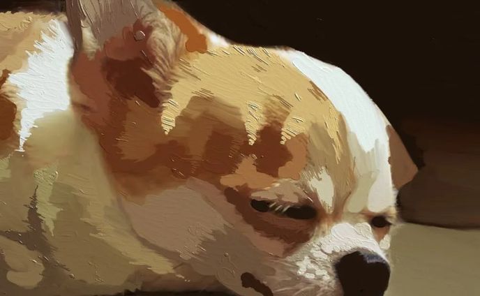 🐶💤

#犬
#dog
#うちのわんこ
#mydogiscutest
#犬好きな人と繋がりたい
#
#チワワ
#치와와
#cute
#Chihuahua
#강아지
#그림
#animal
#illustration
#sleepy
#うとうと
#art 
#狗
#painting
#digitalart
#動物
#アニマル
#oilpainting
#油絵
#アート 
#いらすとぐらむ
#イラスト好きと繋がりたい