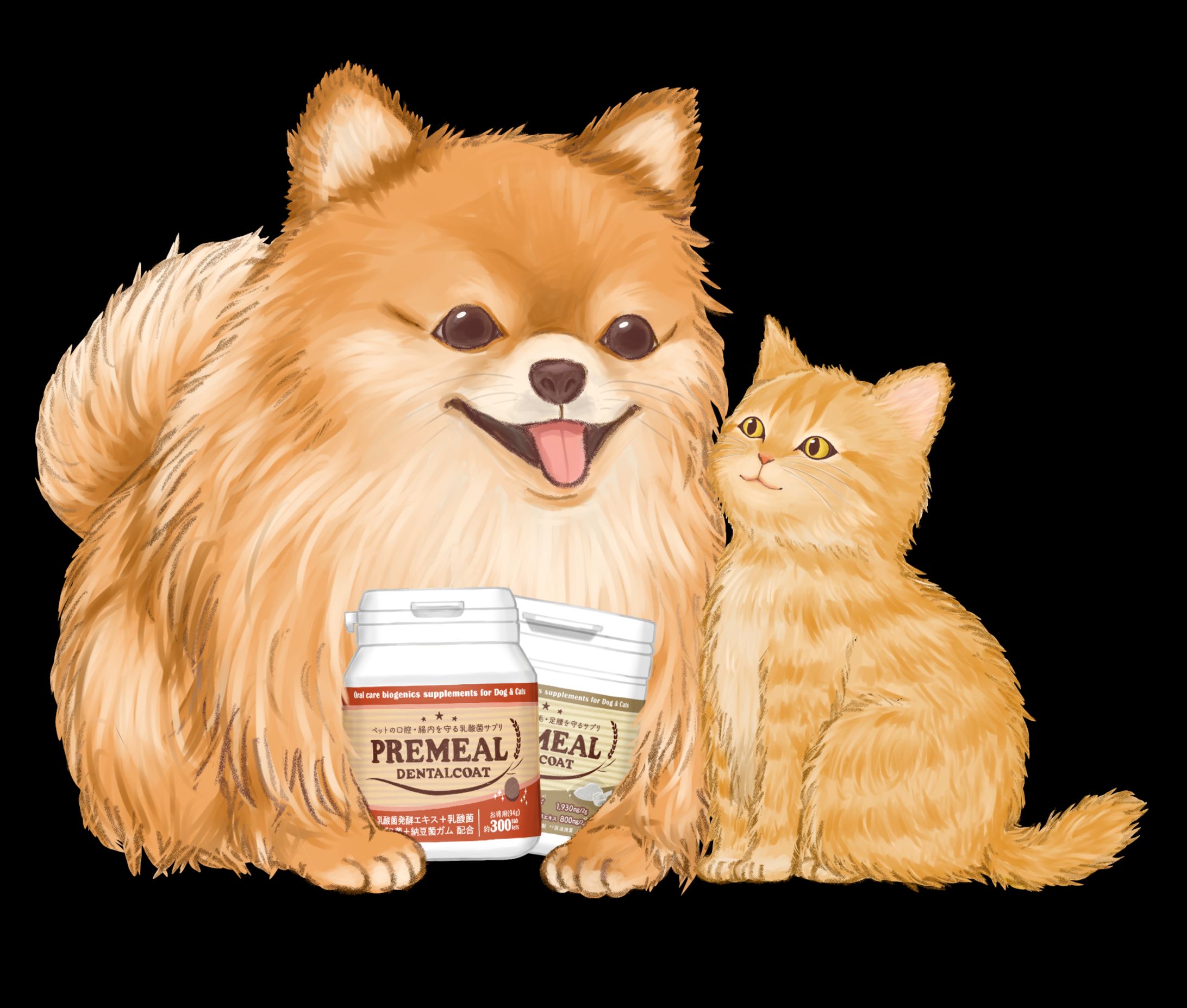 素材（犬猫）-1