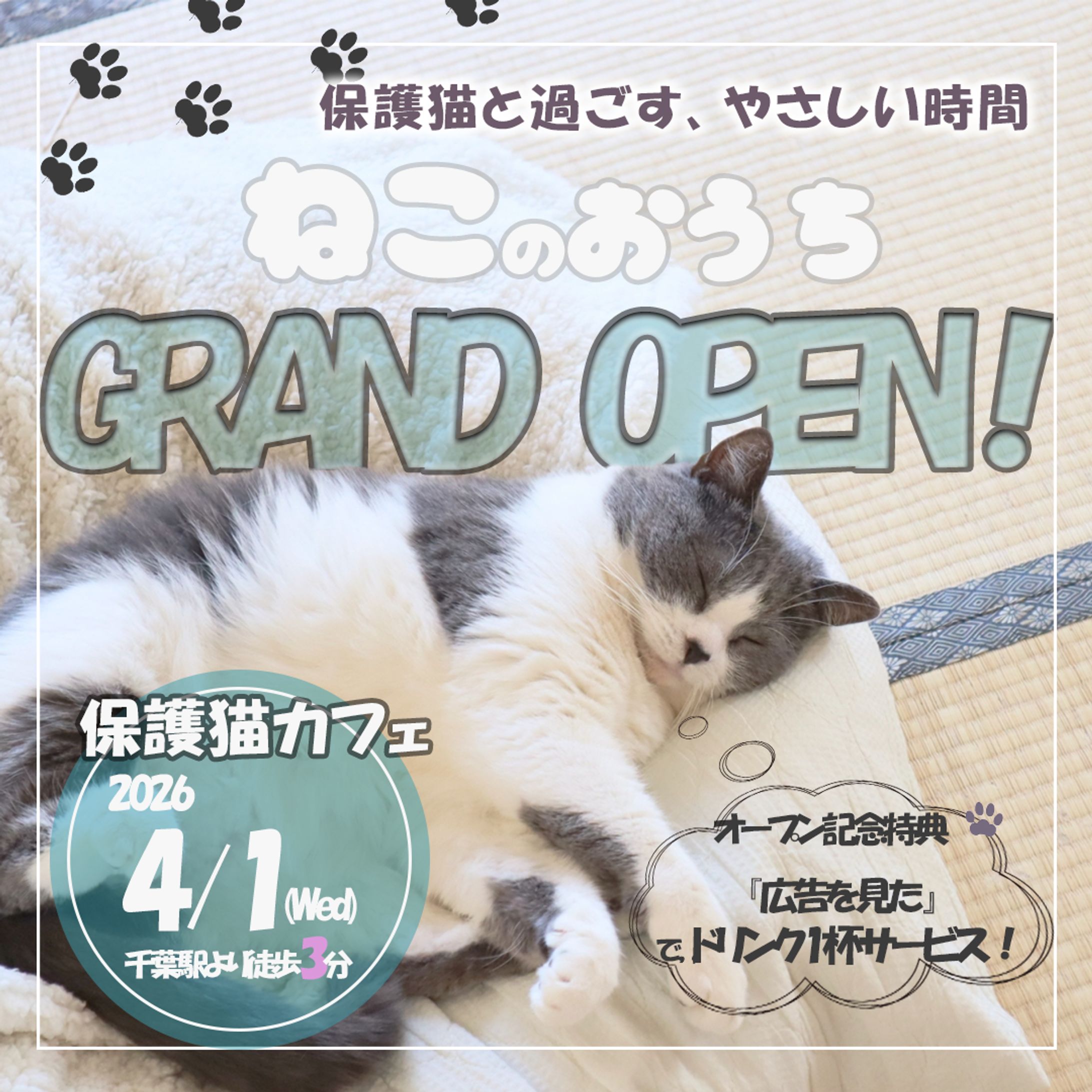 猫カフェバナー-1