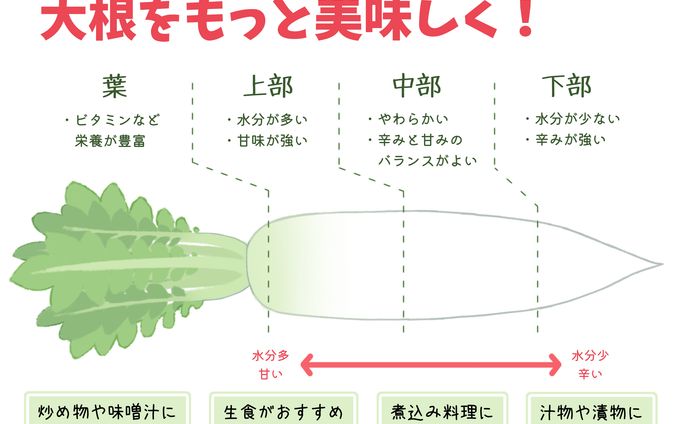 季節の野菜