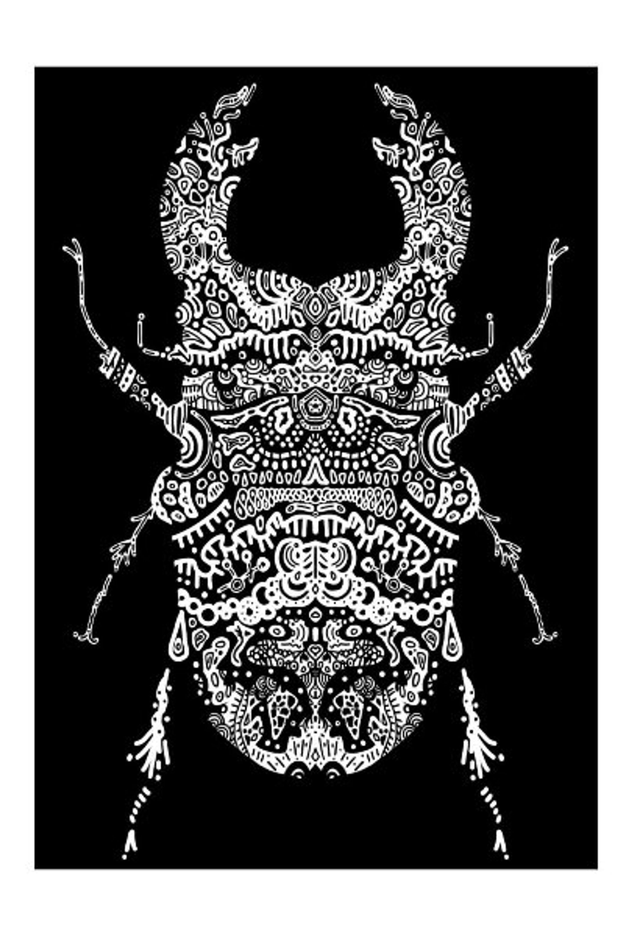 昆虫シリーズ-1