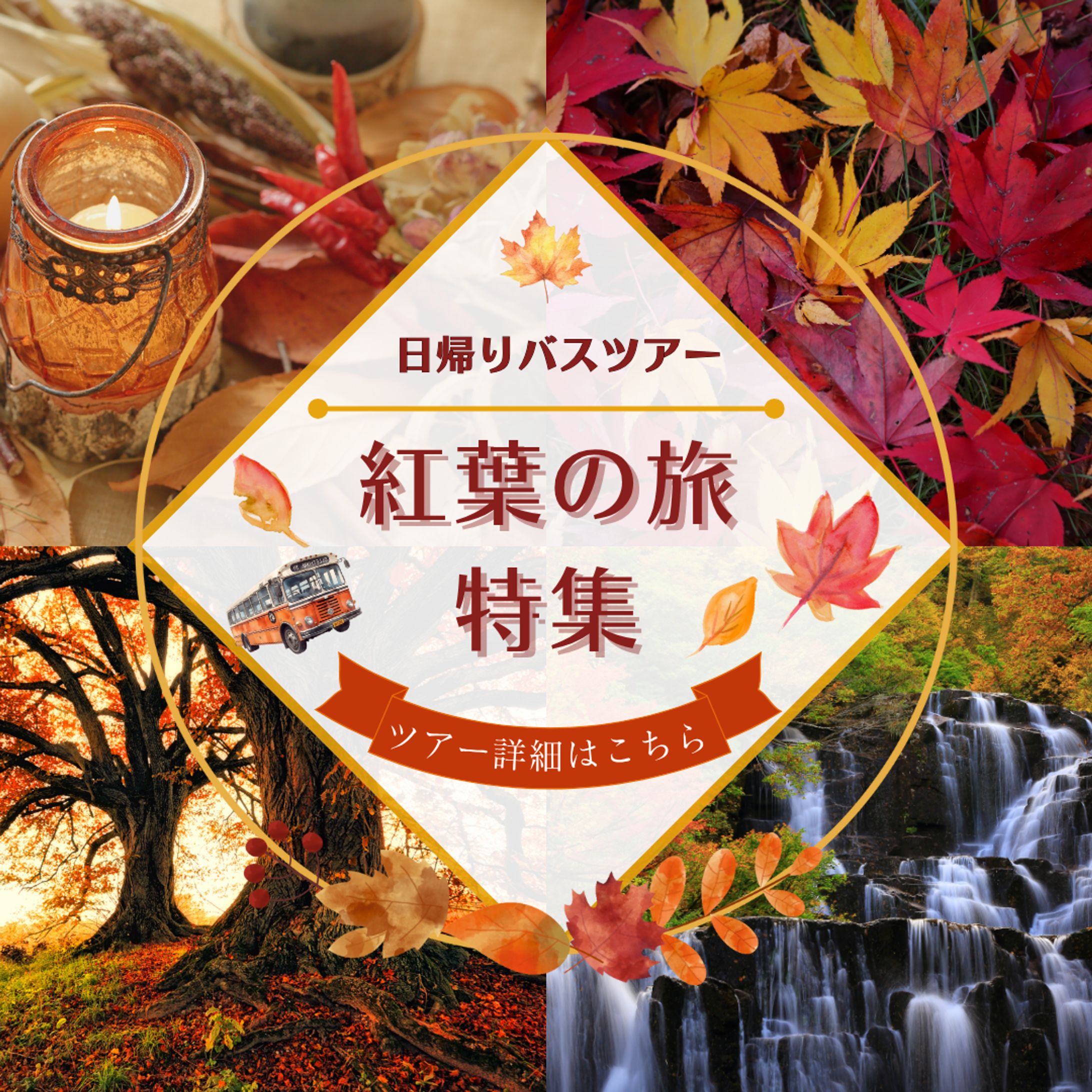 紅葉バスツアー特集-1