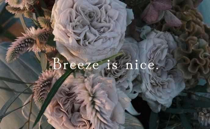 風が吹いた。
悲しくて苦しくて、でも楽しくて幸せなとき。
その瞬間に思った。
この心地よさが、今の自分の全てなのだと。

The breeze blew.
It was a moment when I felt sad and in pain, yet also joyful and happy.
In that instant, I realized:
The comfort of this breeze is everything I am right now.

Breeze is nice.

・・・

12月OPENに向けて始動しました。
随時情報を更新して行きます。
これからよろしくお願いいたします。

＃breezeisnice