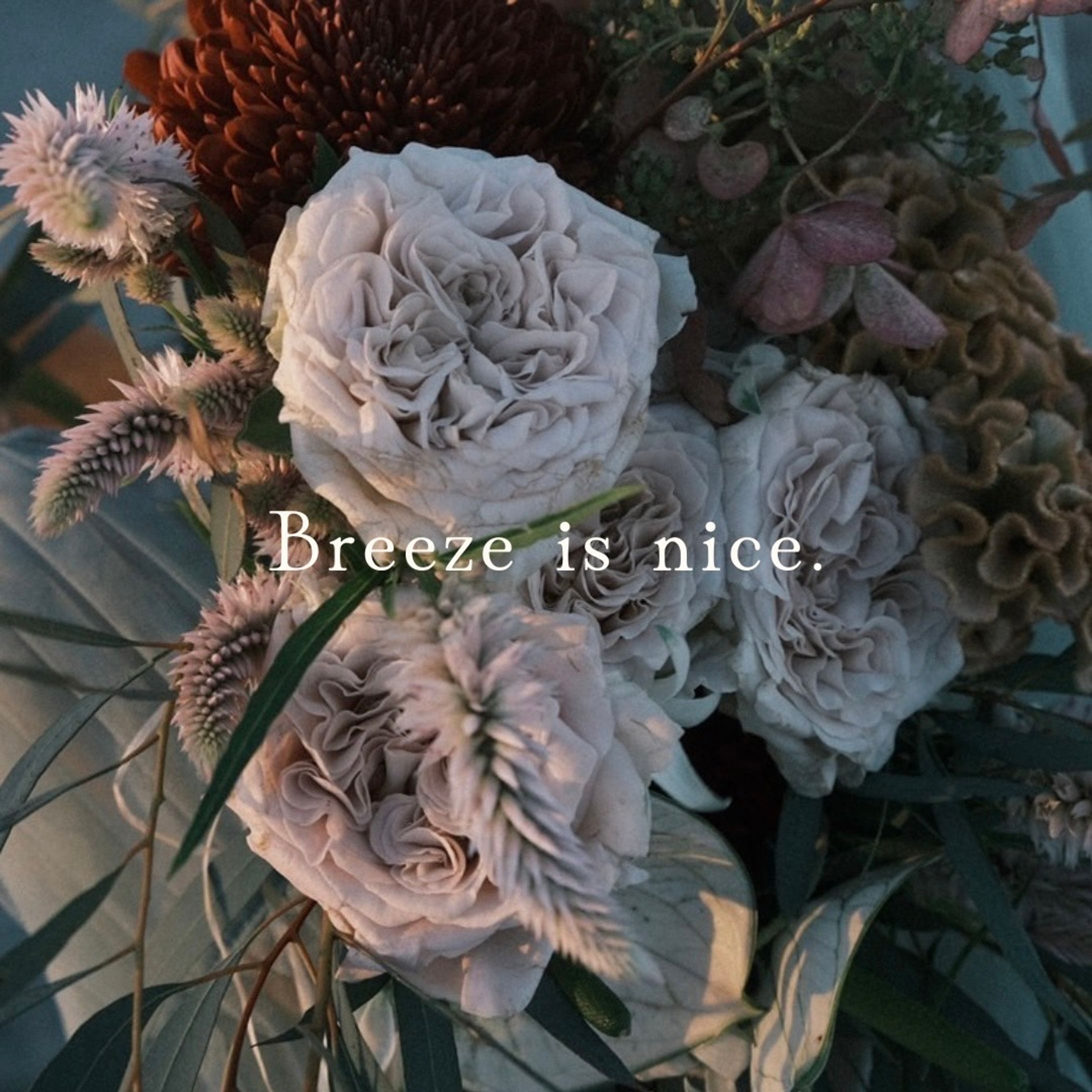 風が吹いた。
悲しくて苦しくて、でも楽しくて幸せなとき。
その瞬間に思った。
この心地よさが、今の自分の全てなのだと。

The breeze blew.
It was a moment when I felt sad and in pain, yet also joyful and happy.
In that instant, I realized:
The comfort of this breeze is everything I am right now.

Breeze is nice.

・・・

12月OPENに向けて始動しました。
随時情報を更新して行きます。
これからよろしくお願いいたします。

＃breezeisnice-1