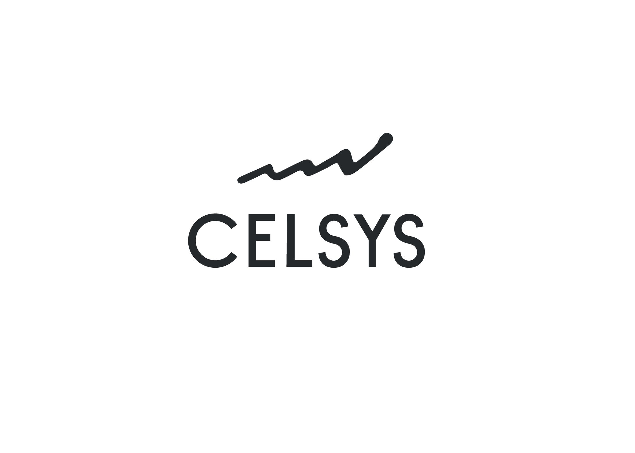 セルシス（企業理念・ロゴ・VI・理念浸透）-1