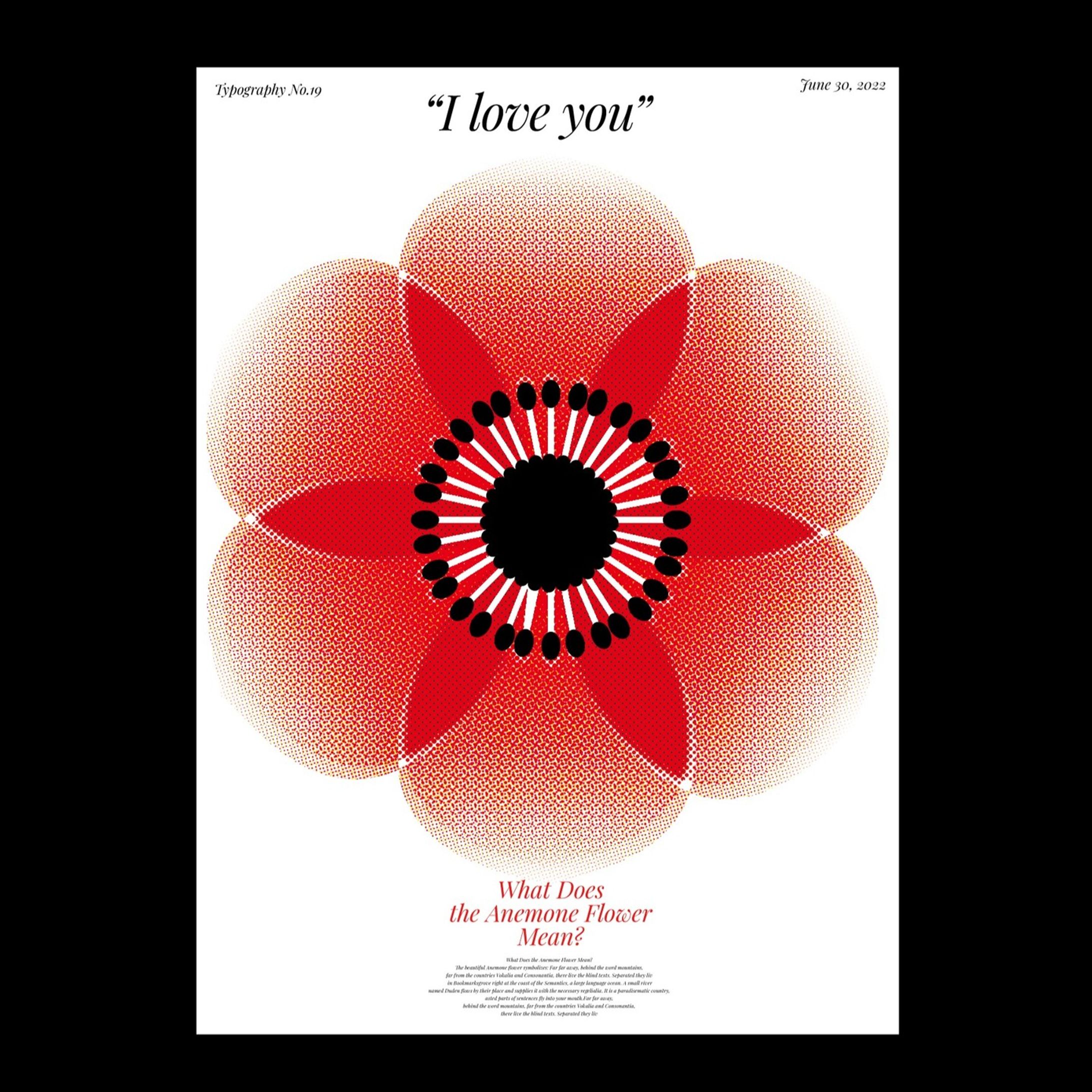 アネモネ　anemone-1