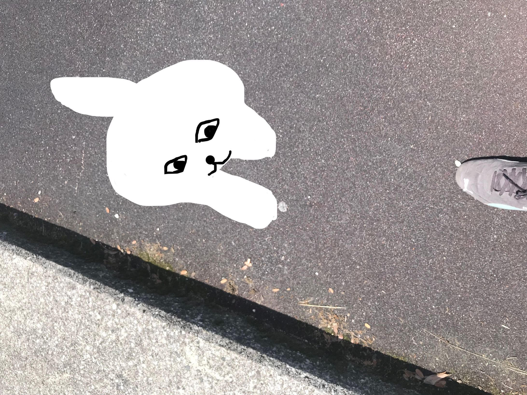 ねこ-1