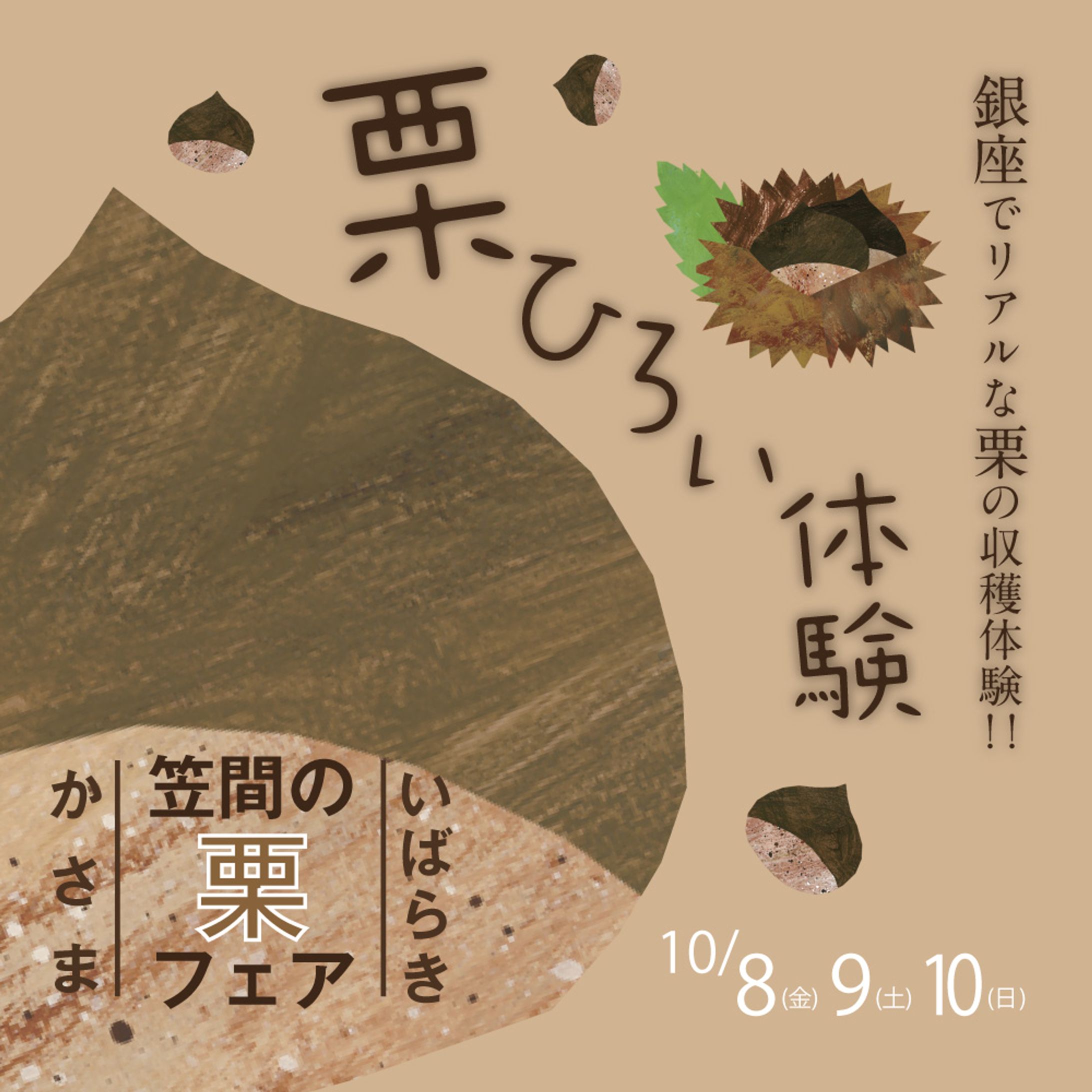 栗ひろいイベント-1
