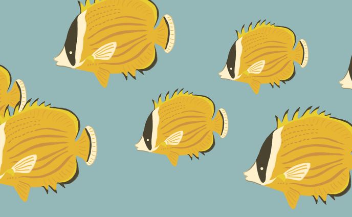 イラストレーター、海の生き物