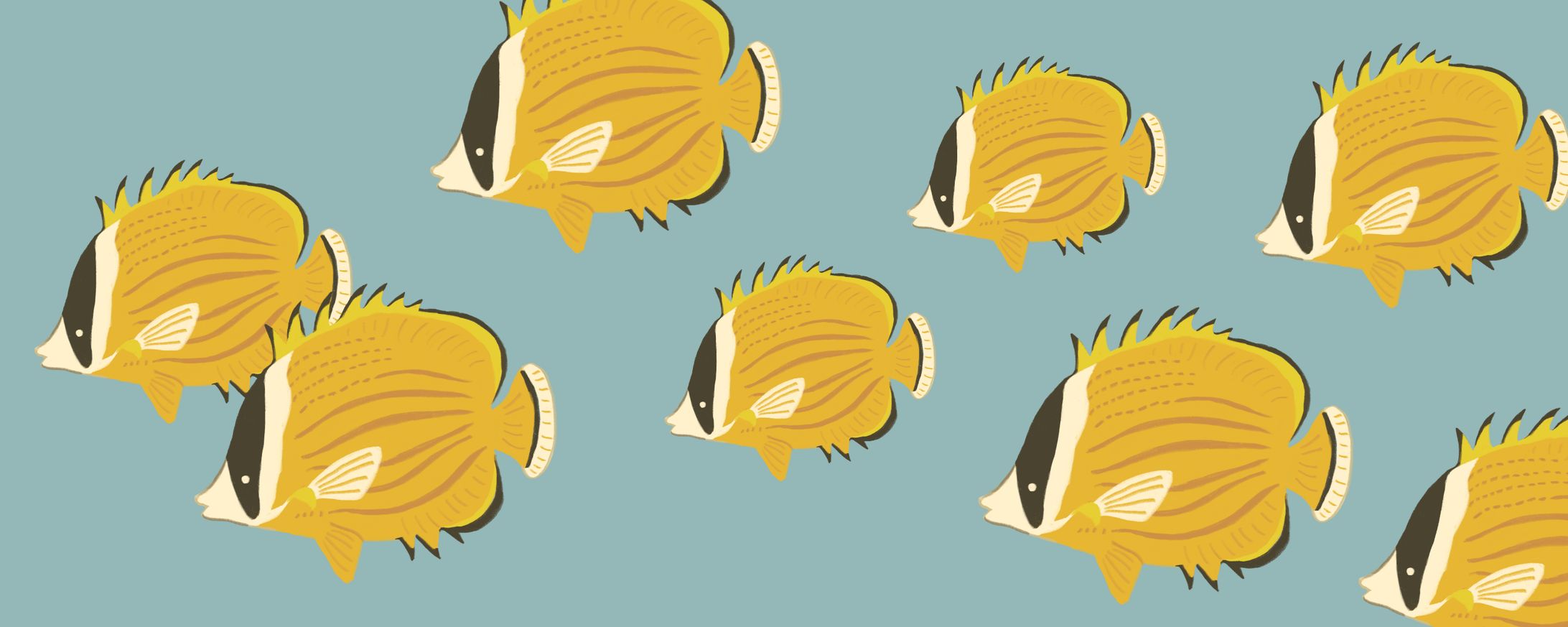 チョウチョウウオの群れイラスト-1