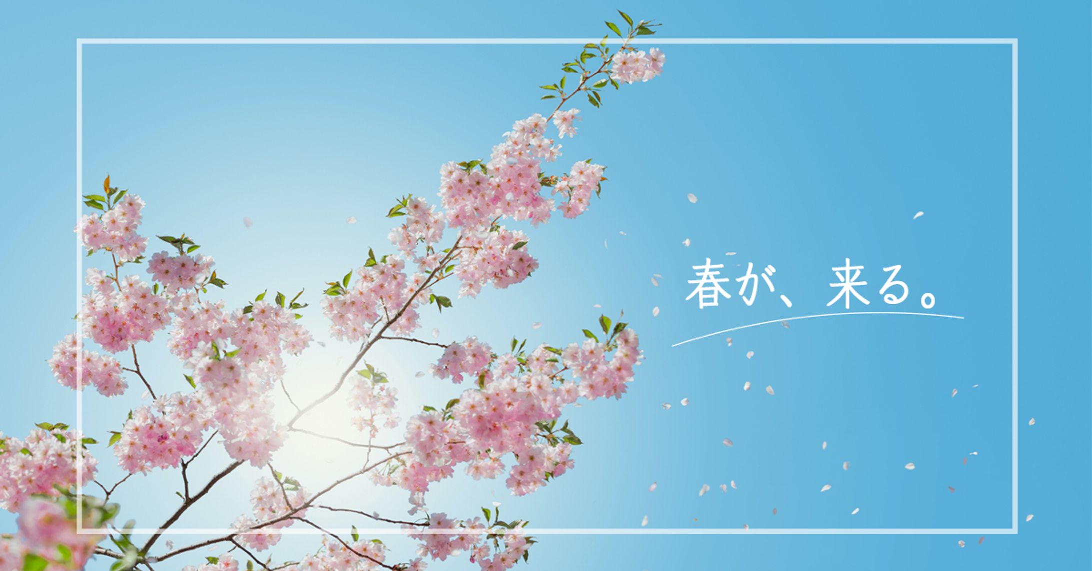 Spring has come.-1