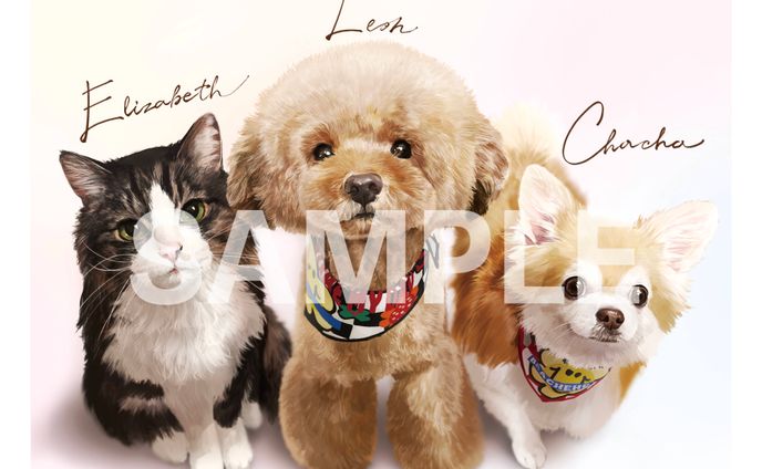 動物イラスト案件