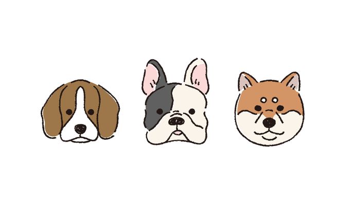 犬いろいろ