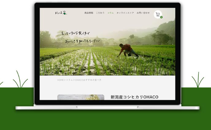 グラフィックデザイン、マイナビ