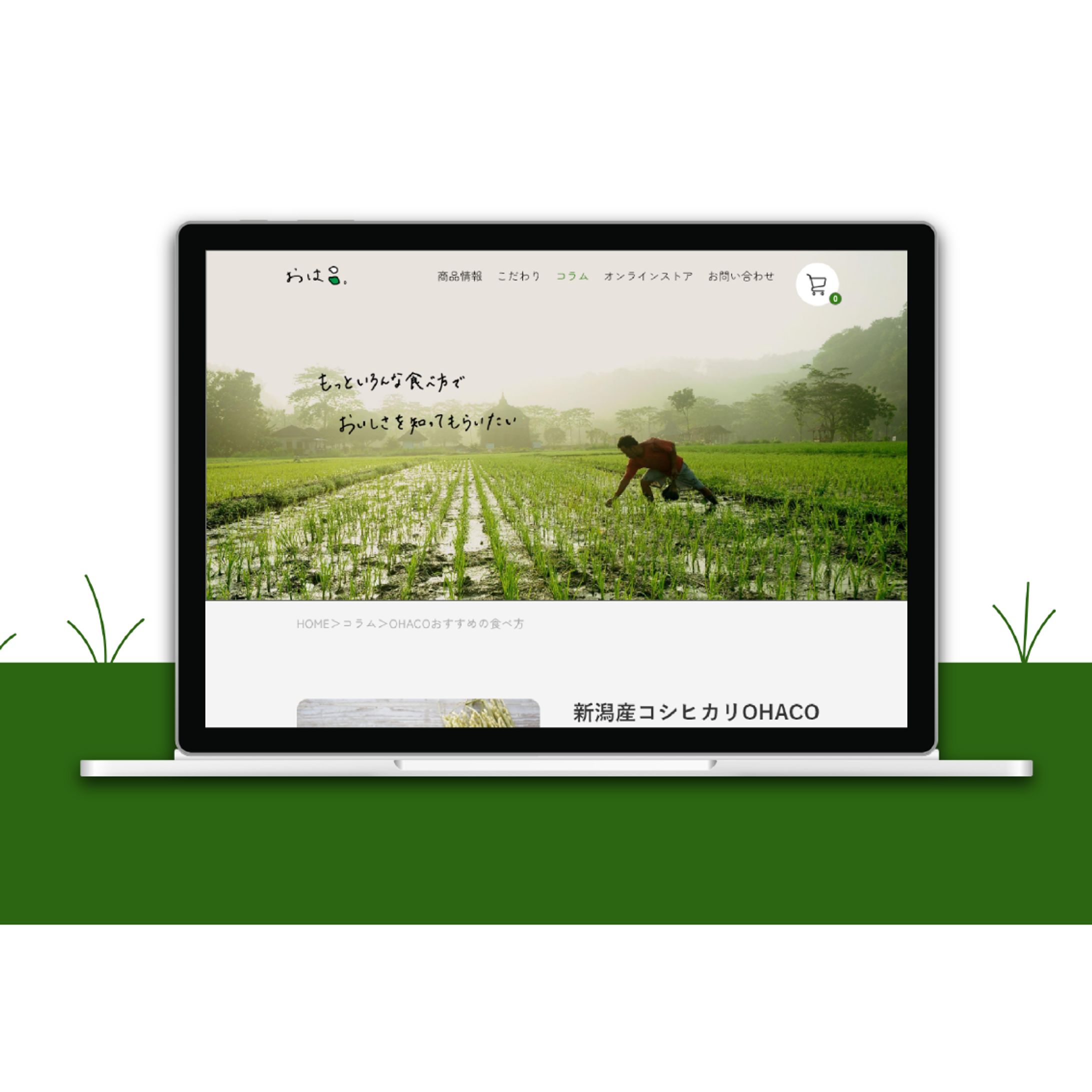 架空お米販売サイト　コラムページ-1