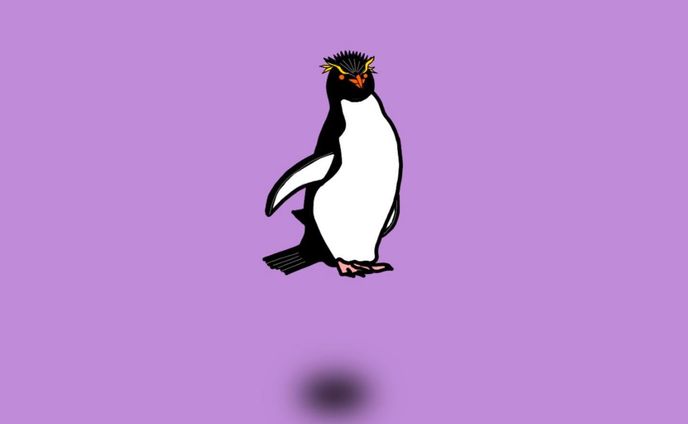 ミナミイワトビペンギン