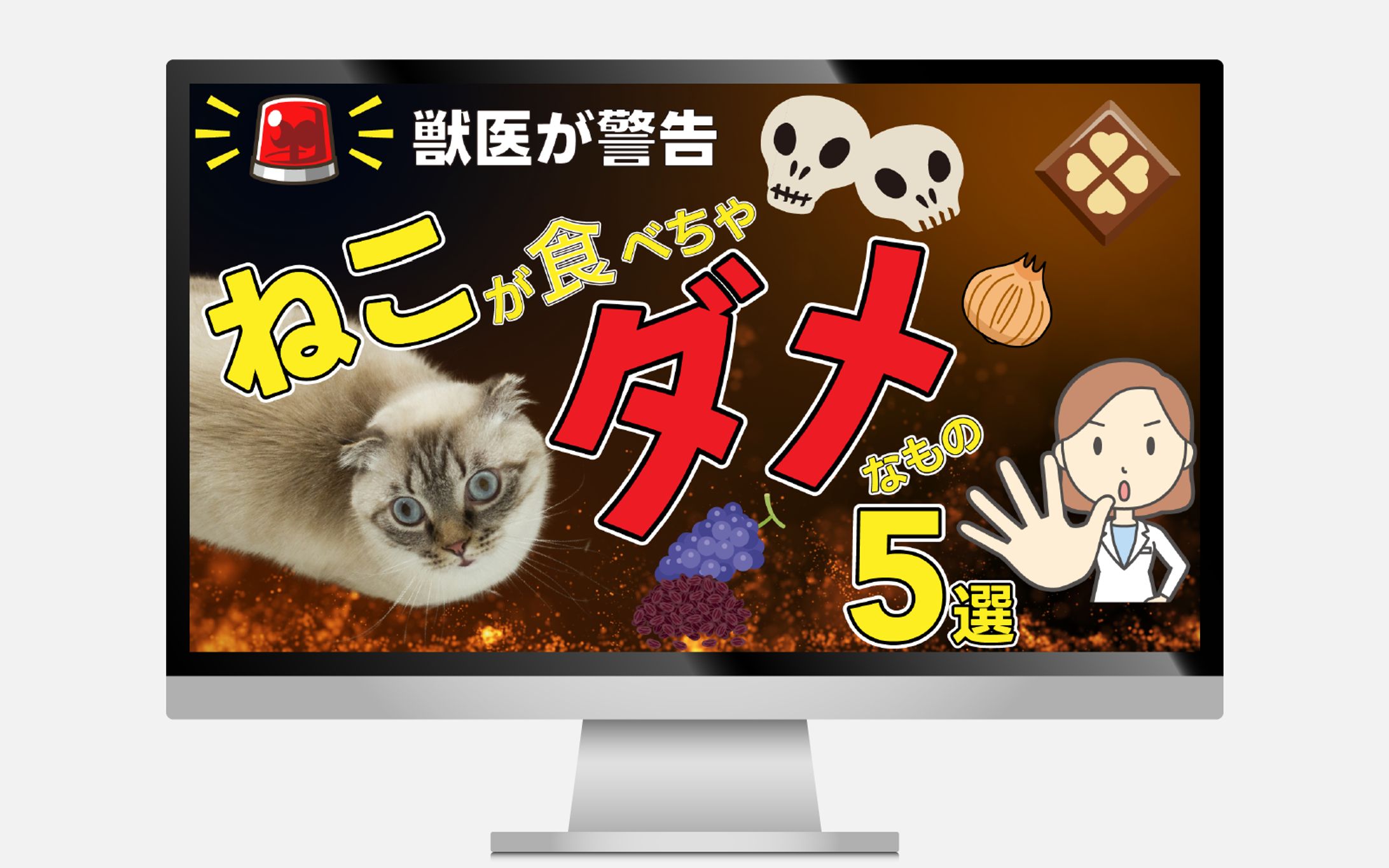 サムネイル｜ペットチャンネル-1