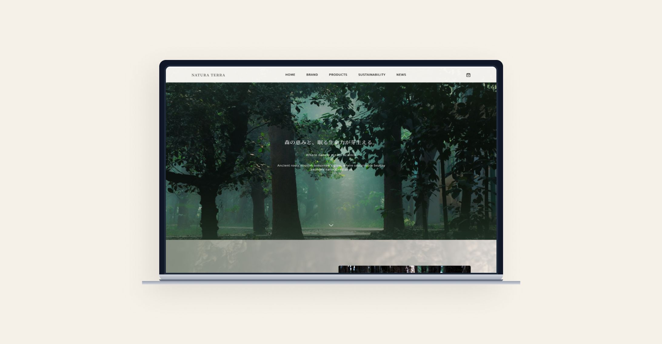 【Webデザイン】スキンケアブランド　コーポレート-1