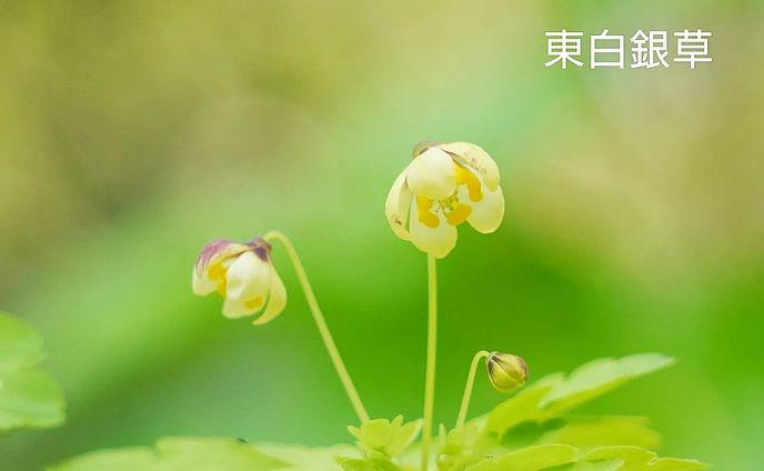 photo、cluster