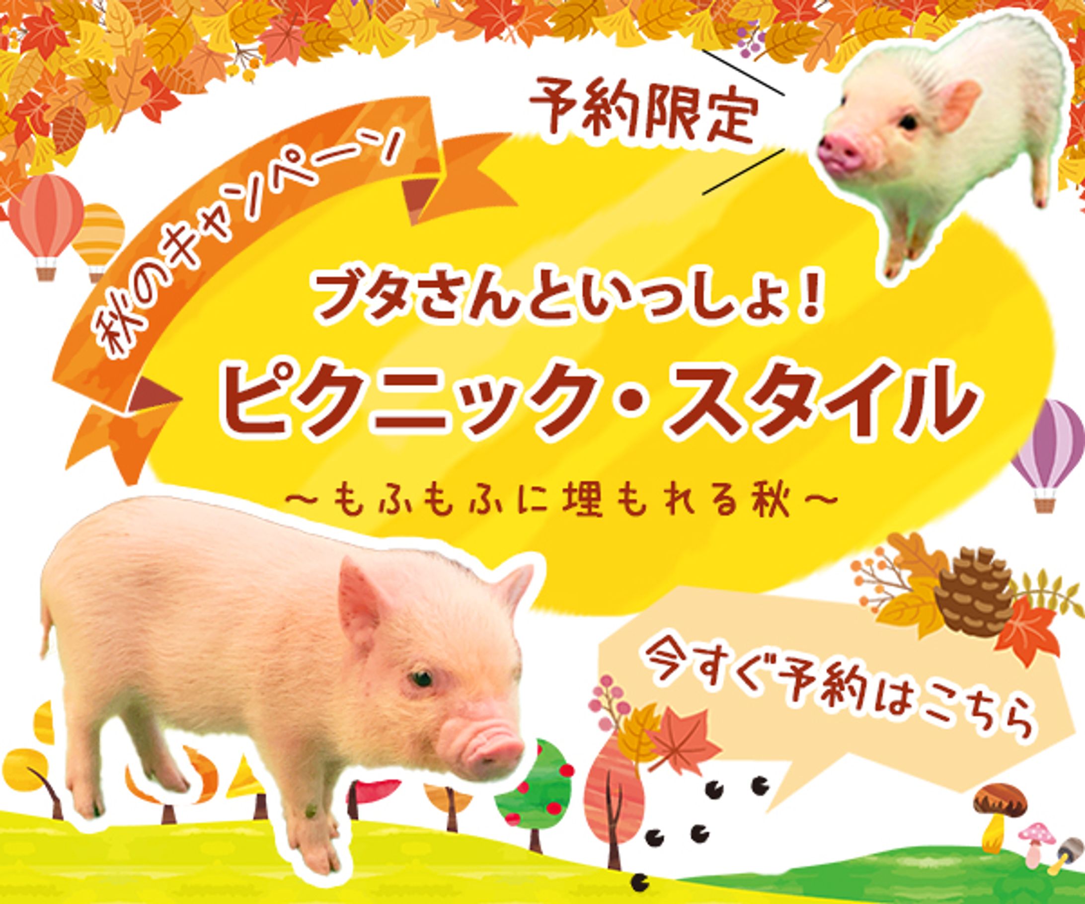 架空バナー　ブタさん秋のキャンペーン-1