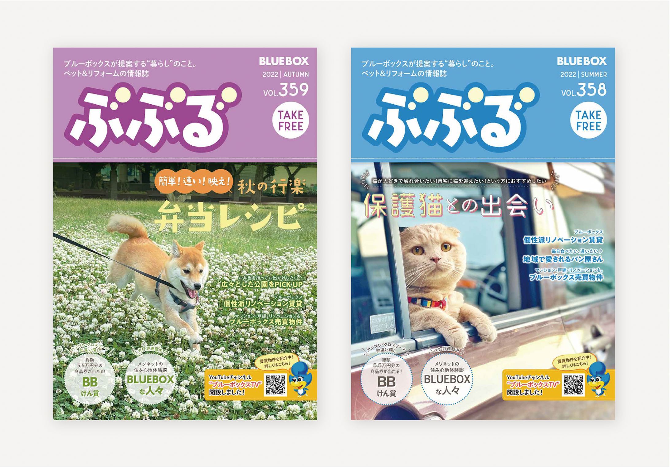 BLUEBOX 情報誌“ぶぶる”-1