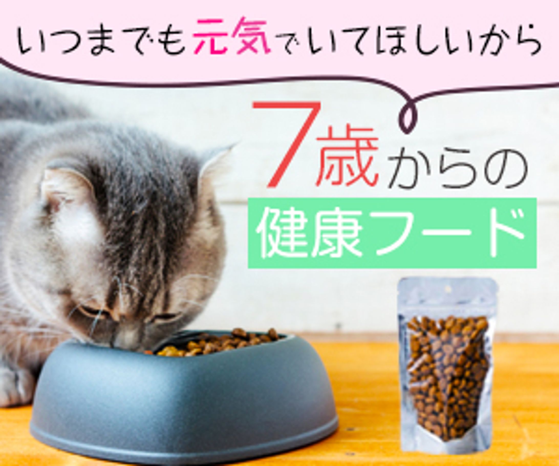 【架空】高齢猫の健康フードバナー-1