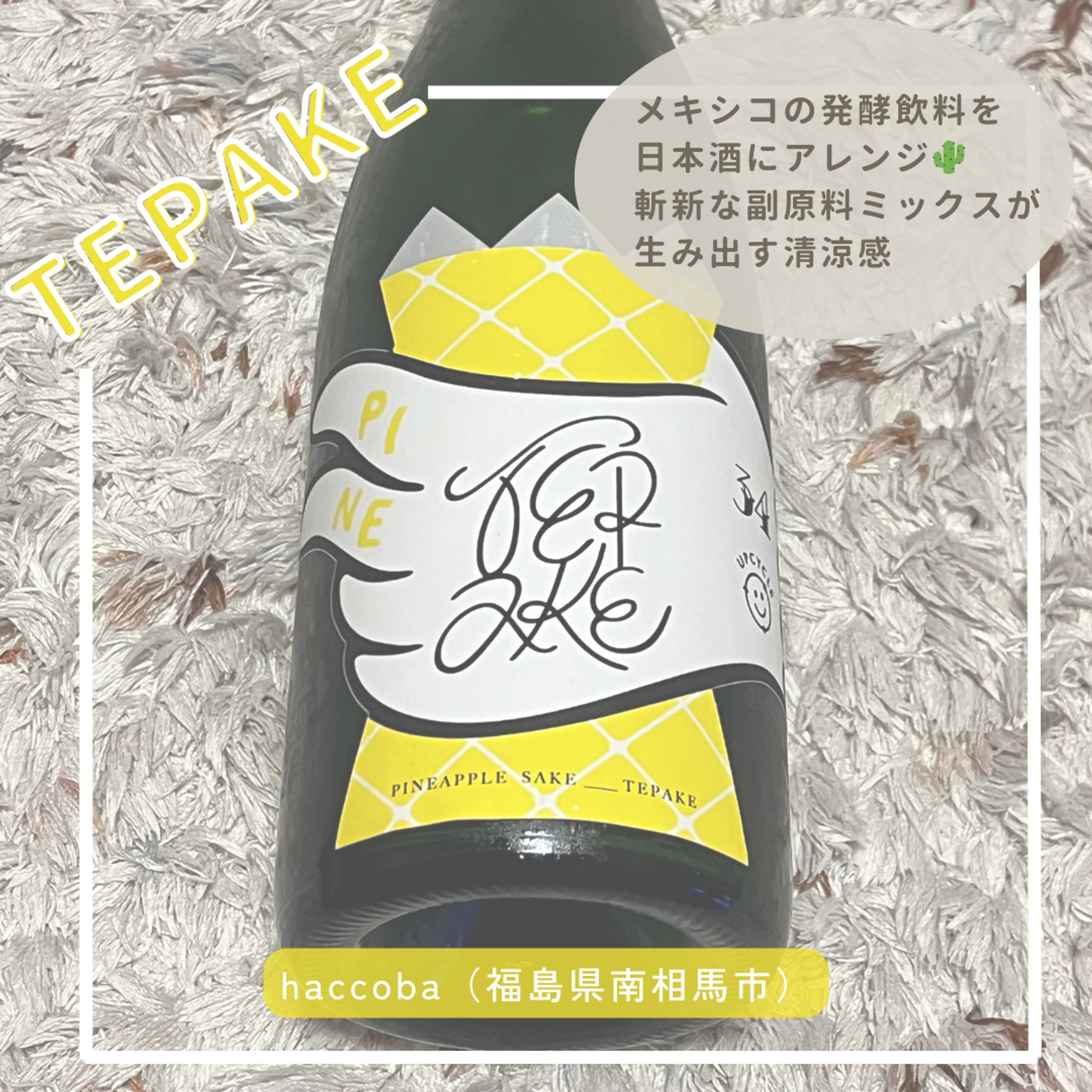 【TEPAKE（haccoba）】2024年9月-1