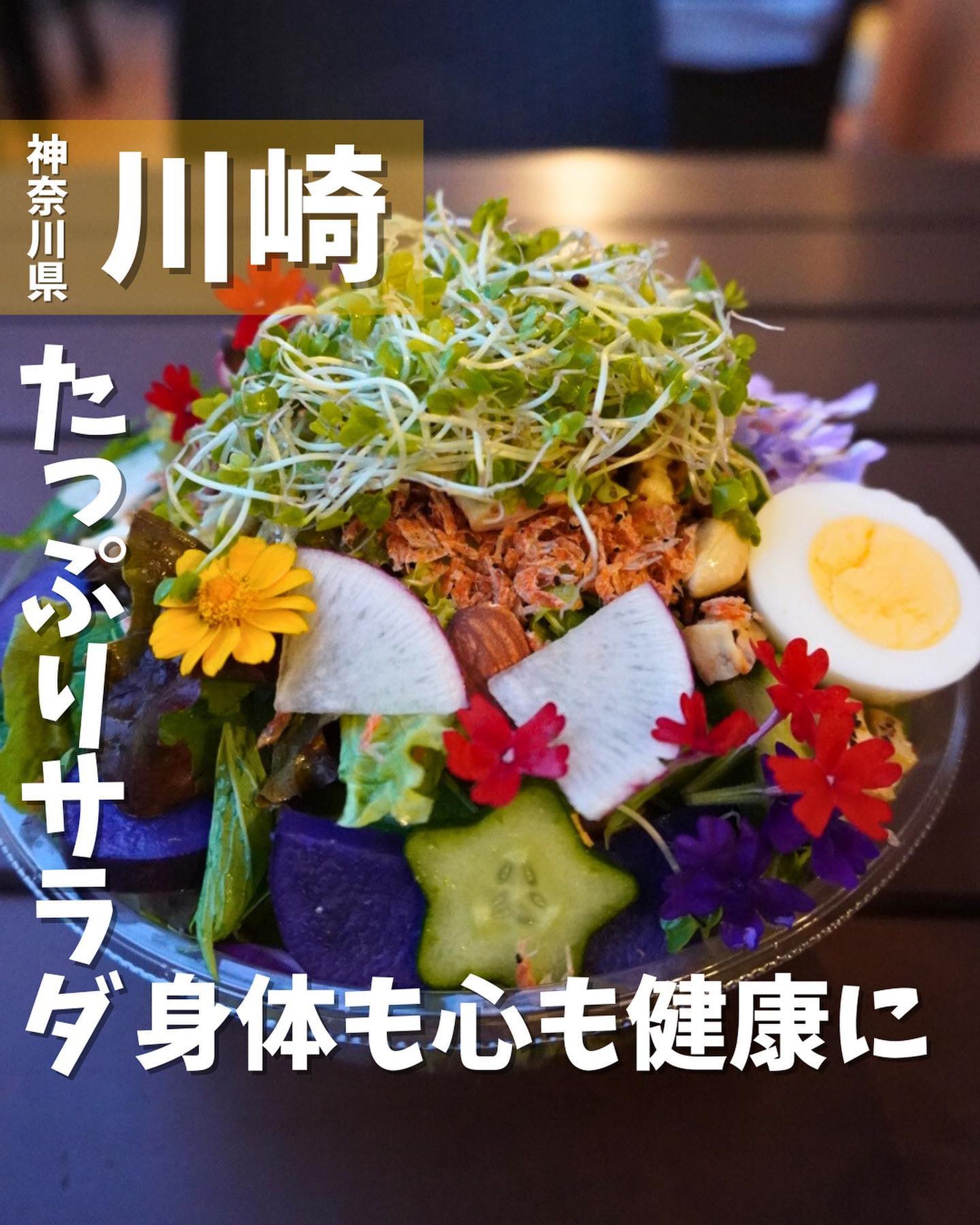 @farmerstablemother 
ラ チッタデッラで楽しめるボリューム満点サラダのお店に行ってきたよ😋

⭐︎おすすめポイント⭐︎
◆ 契約農家から仕入れたオーガニック野菜がたっぷり🍠🍅🥬
◆ボリューム満点8種類のサラダボウルや生地からこだわったクレープが楽しめる🥗
◆ 可愛らしい店内でゆったりとした時間を過ごしながら美味しい料理を堪能できる☺️

《今回のご注文》(税込) 
¥1,375  MOTHERサラダ

オキアミ、酵素玄米、スプラウト、ナッツ、ロースト豆腐、さつまいもを中心に本日の野菜が12種類以上入っているサラダボウル🥗
MOTHERサラダは当店人気No.1メニュー☝️

サラダに入っている野菜はどれもとても瑞々しく、野菜をしっかり噛むことができ、素材味を楽しめます✨

店内で炊き上げた酵素玄米は、玄米特有のぼそぼそとした食感や雑味がなく、しっとりとしていて、もっちり感もあります🌾

ドレッシングは2種類選べるスタイルで最後まで飽きずに食べれます❗️

サラダボウルだけでも十分満足できるほどのボリュームで嬉しい☺️

屋上に自社農園が完成し、まだまだ進化し続けていく今話題のお店です💫

〇⚫︎〇⚫︎店舗情報〇⚫︎〇⚫︎
📍：FARMER'S TABLE MOTHER @farmerstablemother 
　　神奈川県川崎市川崎区小川町4-1 ラ チッタデッラ マッジョーレ 2F
🚉：川崎駅東口徒歩5分
📞：070-9045-0831
🕘：11:00〜21:00
💤：木曜日(祝日の場合は営業)
💰：¥800〜¥1,400
他 ：予約不可、個室無、テラス席有、
　　ペット・ベビーカー入店OK
---------------------------
#PR #farmerstablemother #川崎 #川崎ランチ #グルメ #gourmet #サラダ #サラダボウル #野菜 #野菜たっぷり

他の投稿はこちらです！▶︎ @taiki_gourmet 
保存すると後で見返せるよ👀
フォロー&いいね👍&コメントお待ちしております🤗-1