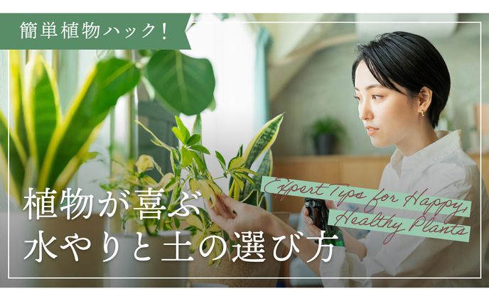 植物の育て方Youtubeサムネイル
