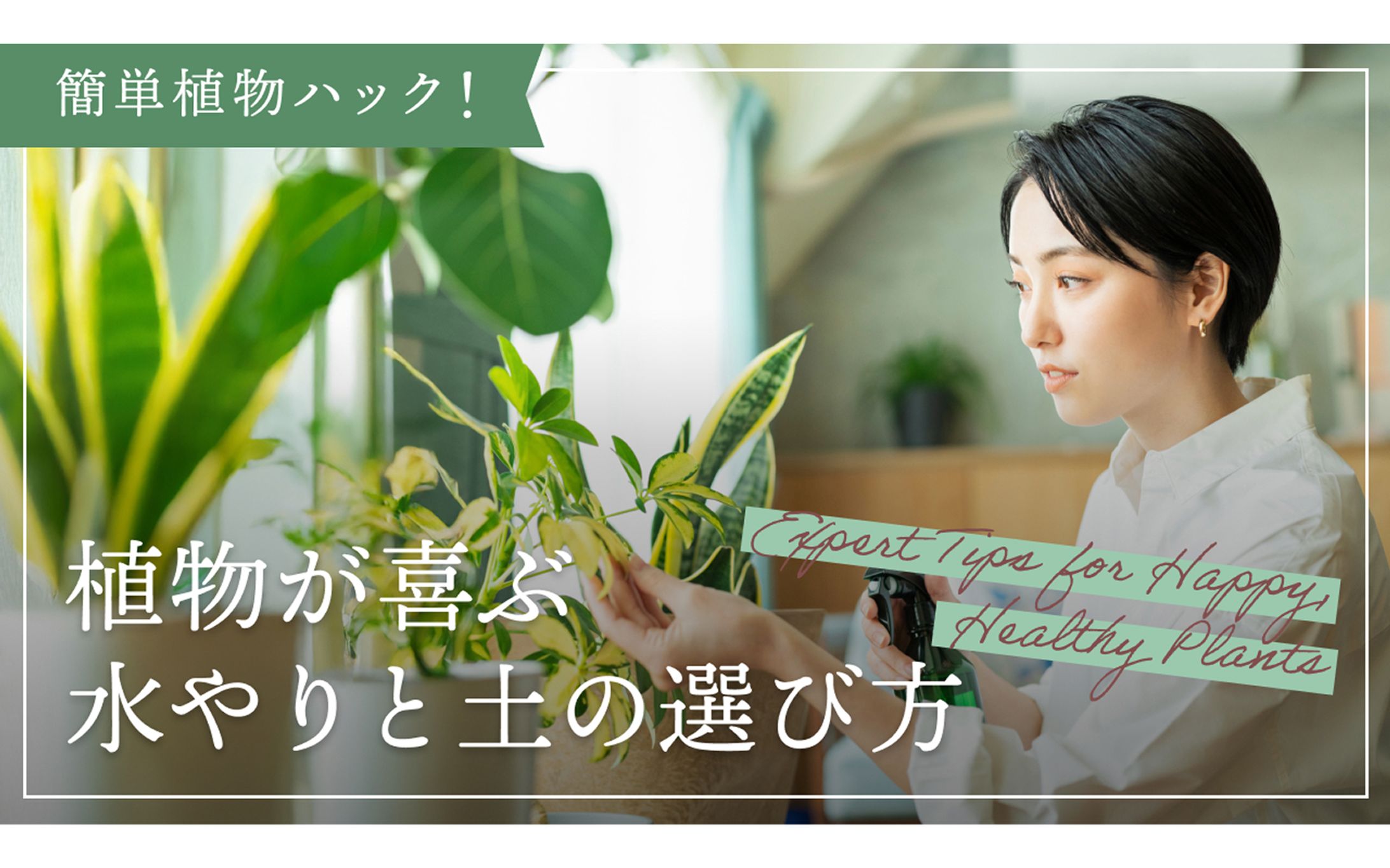 植物の育て方Youtubeサムネイル-1