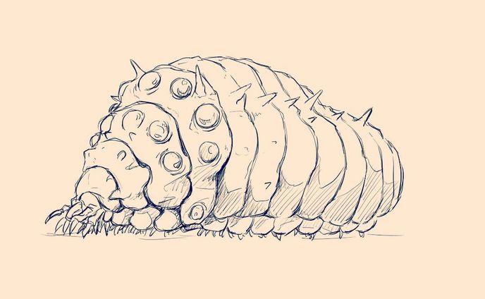 お仕事、アナログイラスト