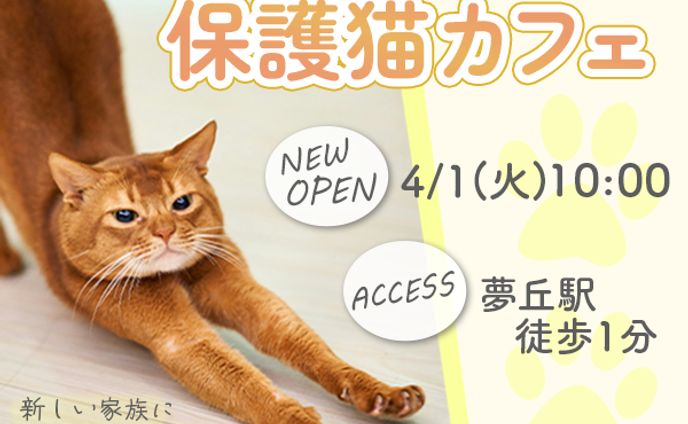 バナー（保護猫カフェ）