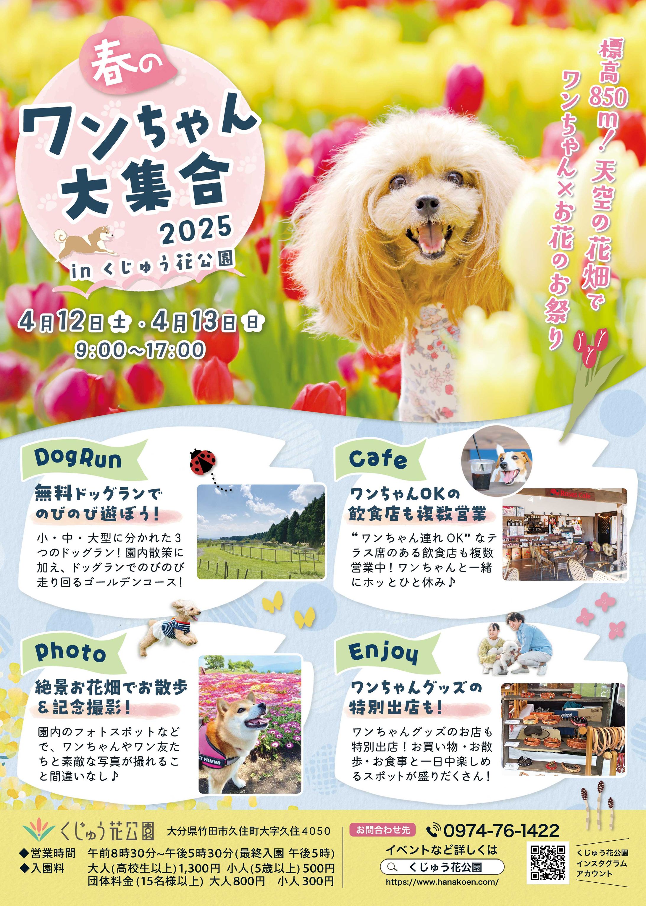 ポスター：ワンちゃんイベント-1