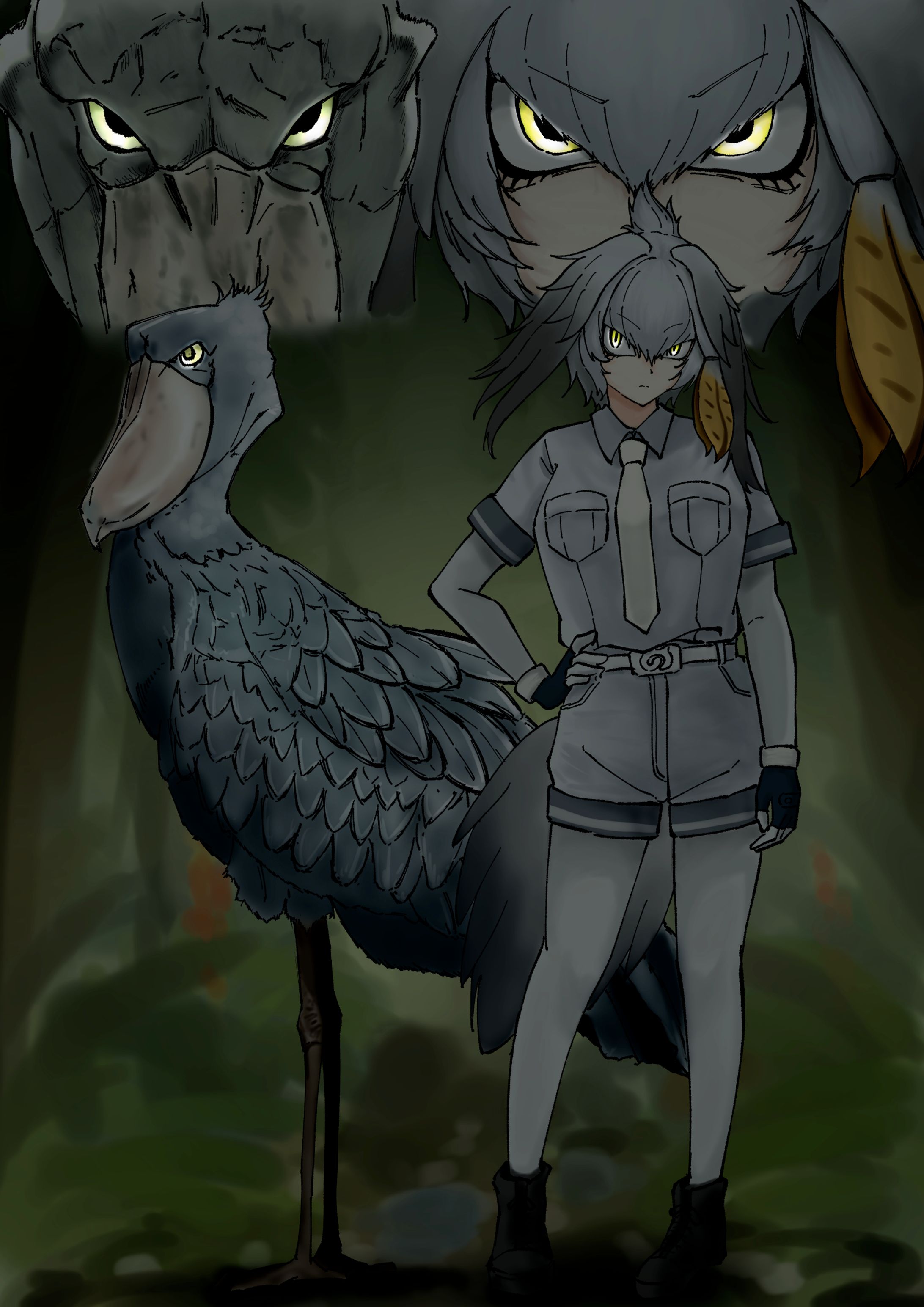 【イラスト】ハシビロコウ-1