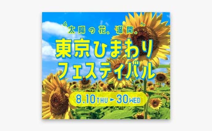 コーダー、美術
