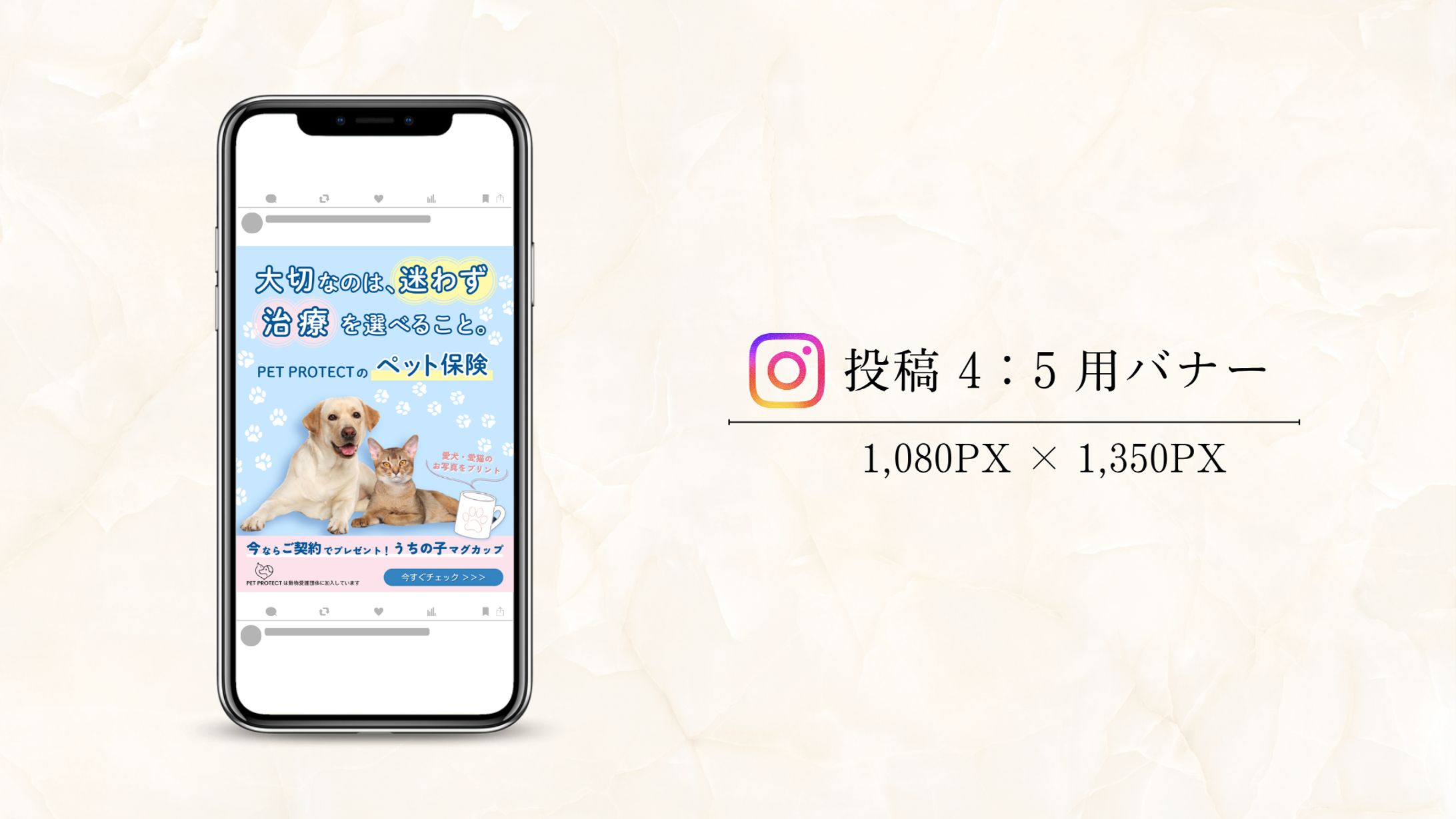 【架空案件】ペット保険のインスタグラムバナー-1