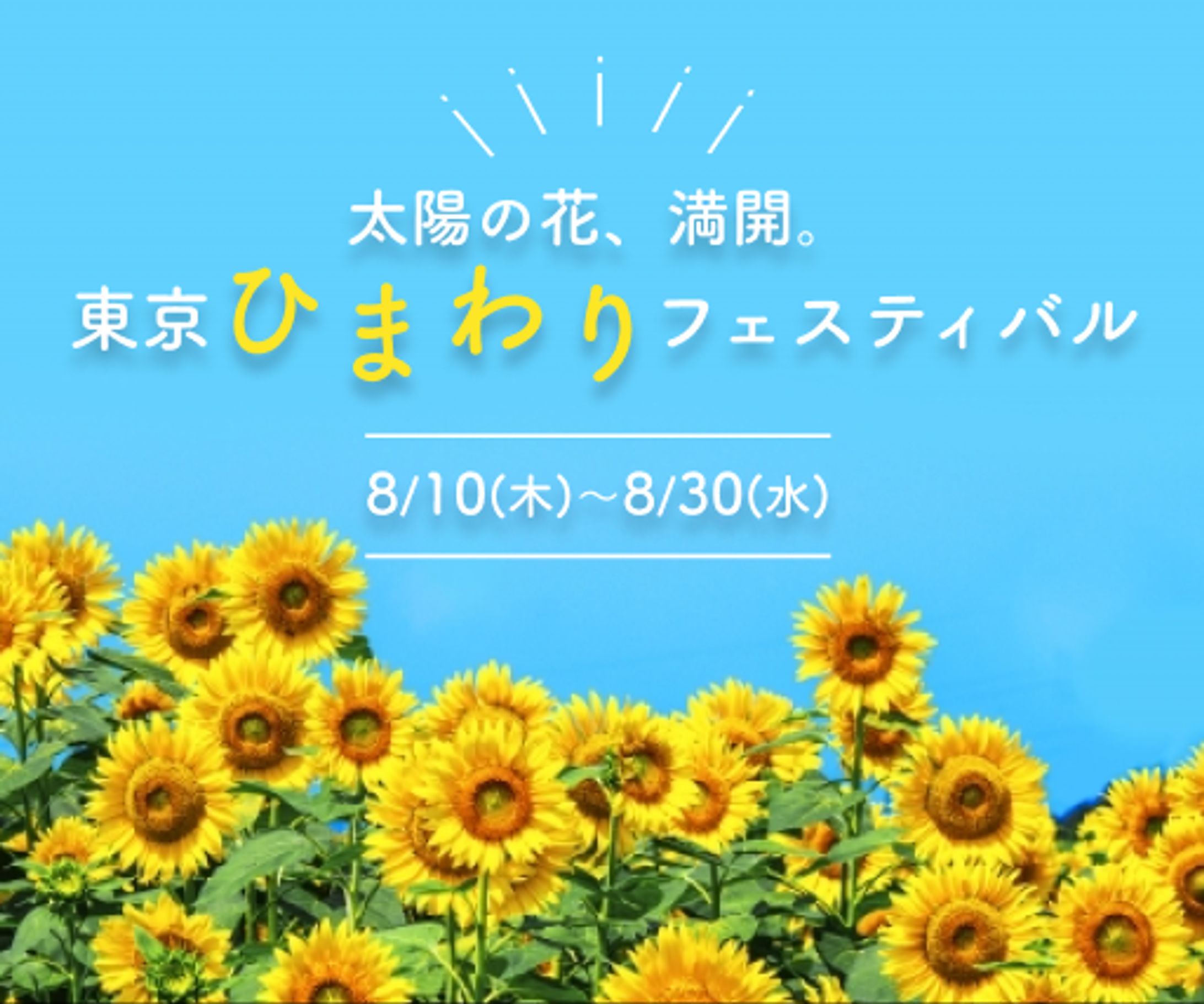 ひまわりフェスティバル（架空案件）-1
