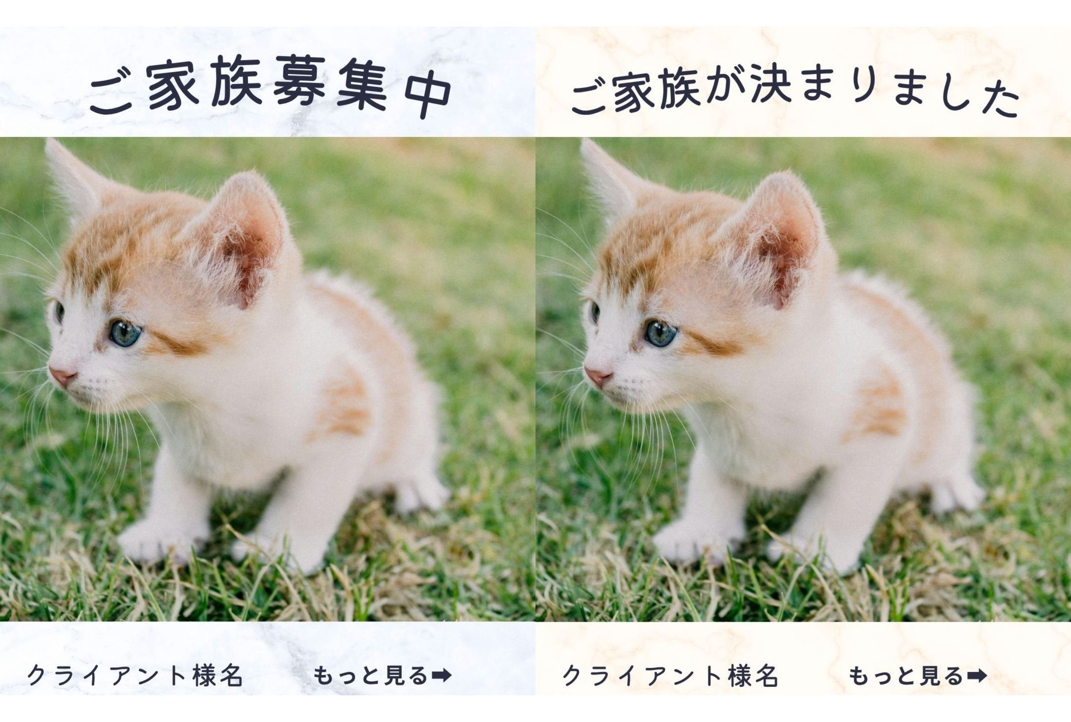 【クライアントワーク】Instagram投稿画像-1