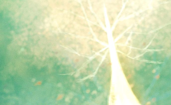 いつか出会う世界
桜大樹 [Repost]

桜のイラストを描こうと何度か
色を出してみたのですが、このイラスト以上の
物が描けませんでした。
多分、来年も描こうとするだろうけれど、
また、Repostするかもしれません。

さて、楽曲は５月ぐらいに発表できそうです！
地味～に、編集を進めています。
また進捗をお知らせいたしま～す😉

#illustration
#キリトリセカイ
#アート
#絵�
#桜
#April