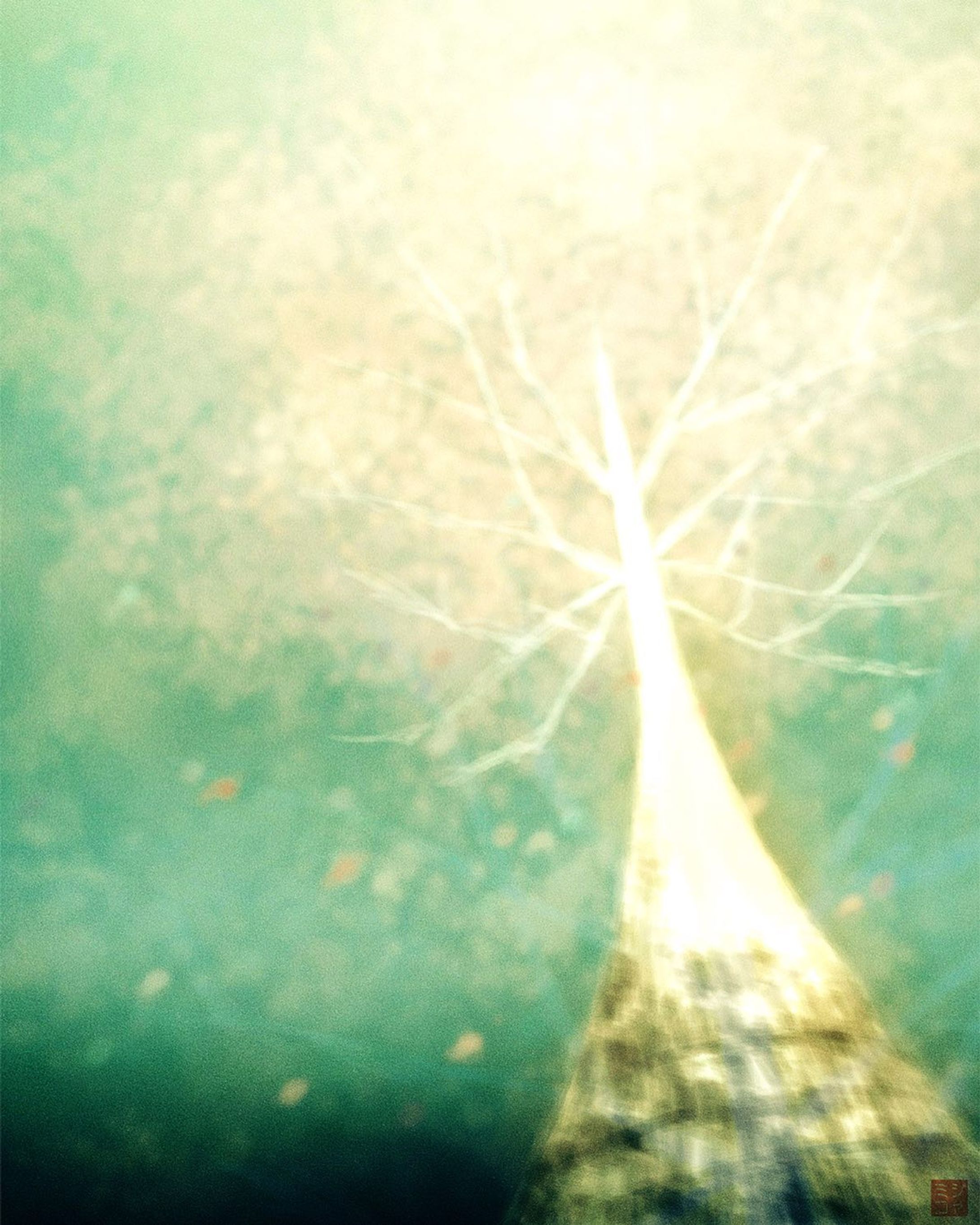 いつか出会う世界
桜大樹 [Repost]

桜のイラストを描こうと何度か
色を出してみたのですが、このイラスト以上の
物が描けませんでした。
多分、来年も描こうとするだろうけれど、
また、Repostするかもしれません。

さて、楽曲は５月ぐらいに発表できそうです！
地味～に、編集を進めています。
また進捗をお知らせいたしま～す😉

#illustration
#キリトリセカイ
#アート
#絵�
#桜
#April-1