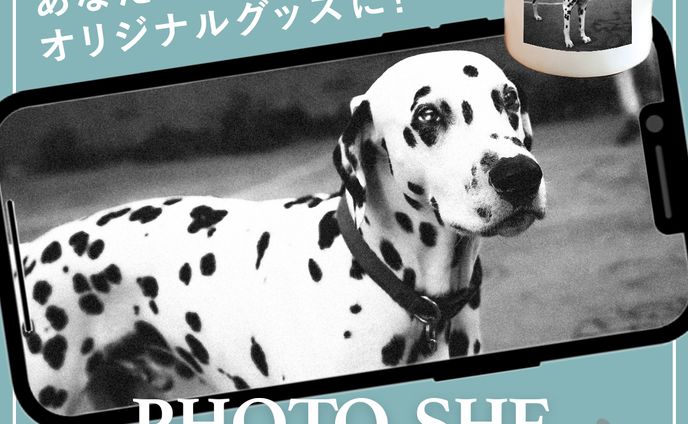 ペットのグッズ