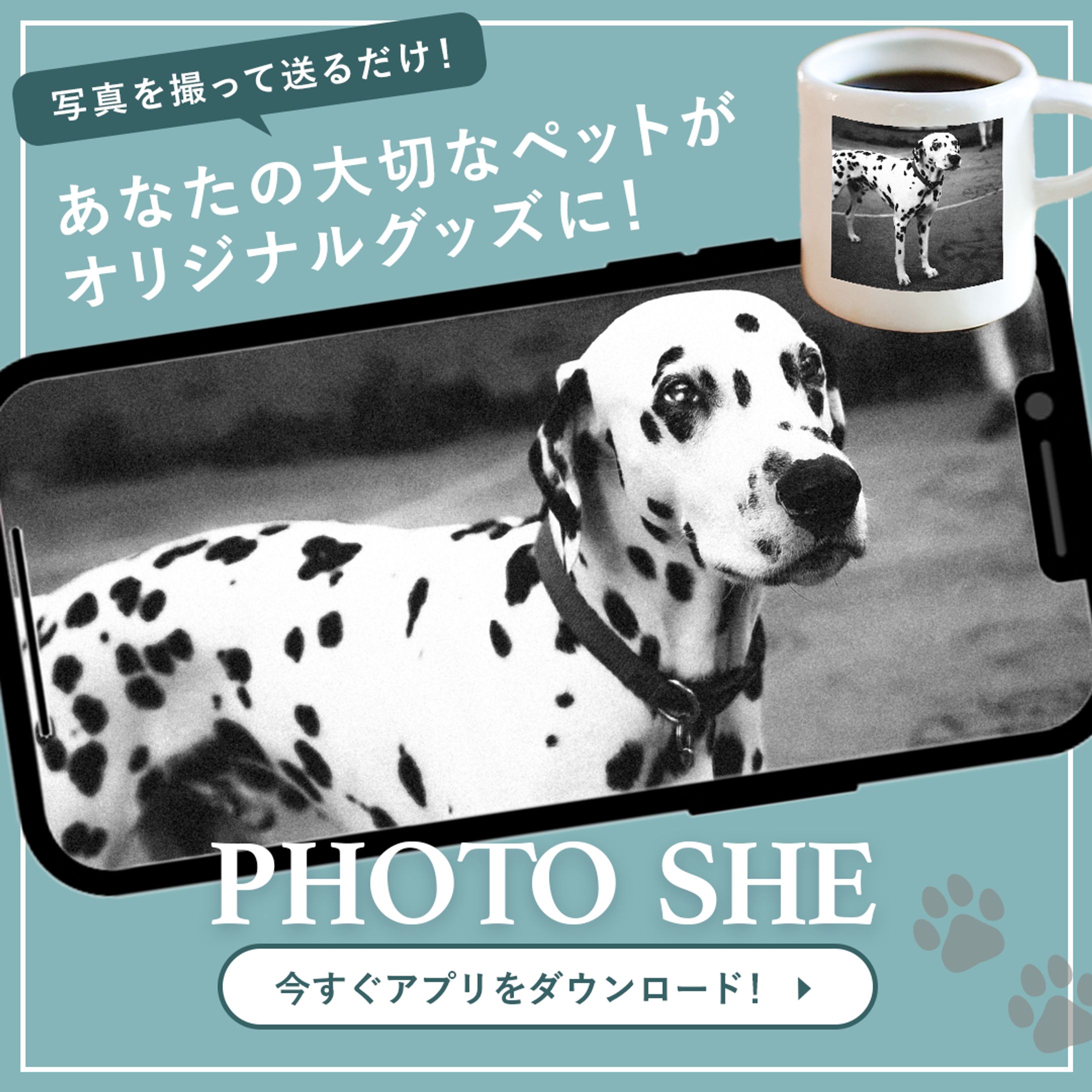 ペットのグッズ-1