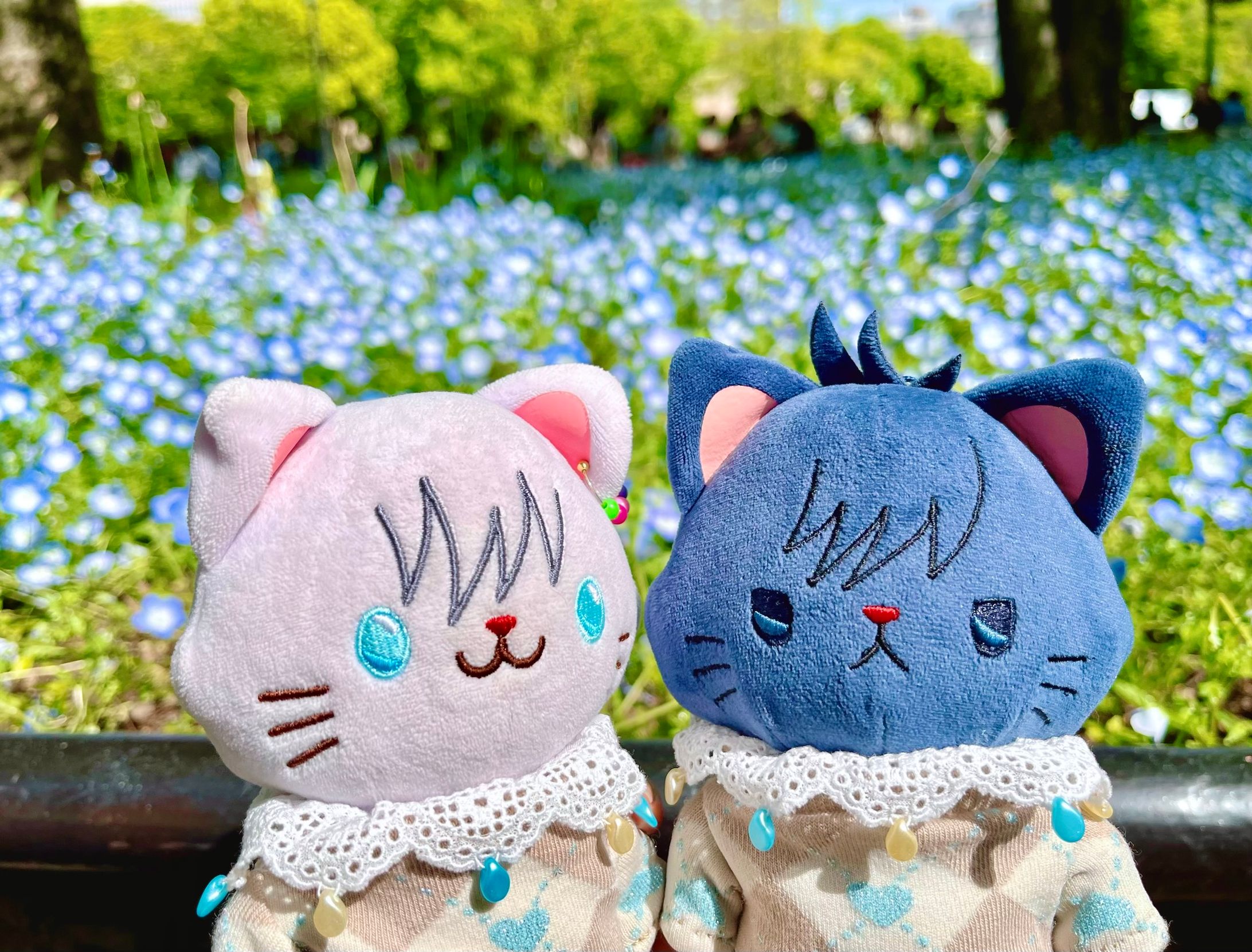 ネモフィラとにゃんず-1