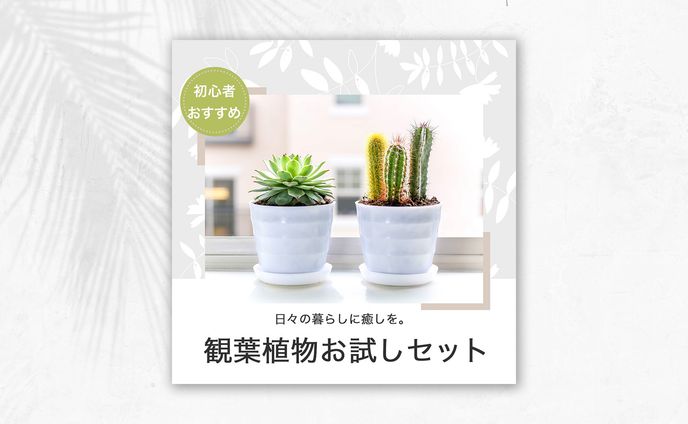 ECサイト掲載用観葉植物バナー｜サンプル
