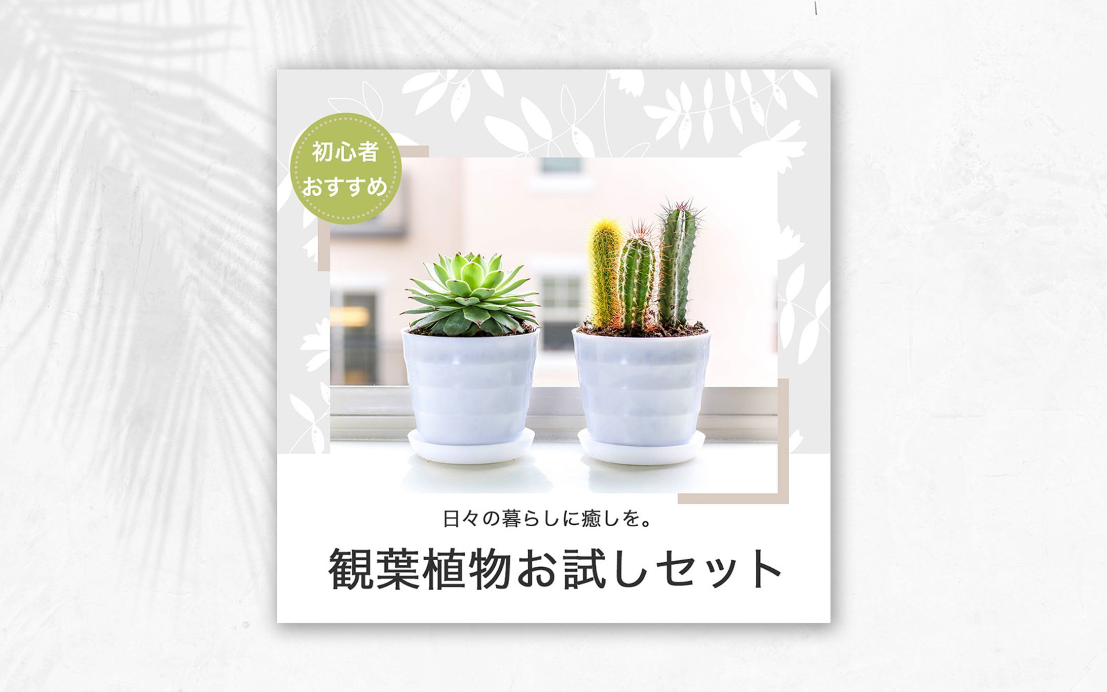 ECサイト掲載用観葉植物バナー｜サンプル-1