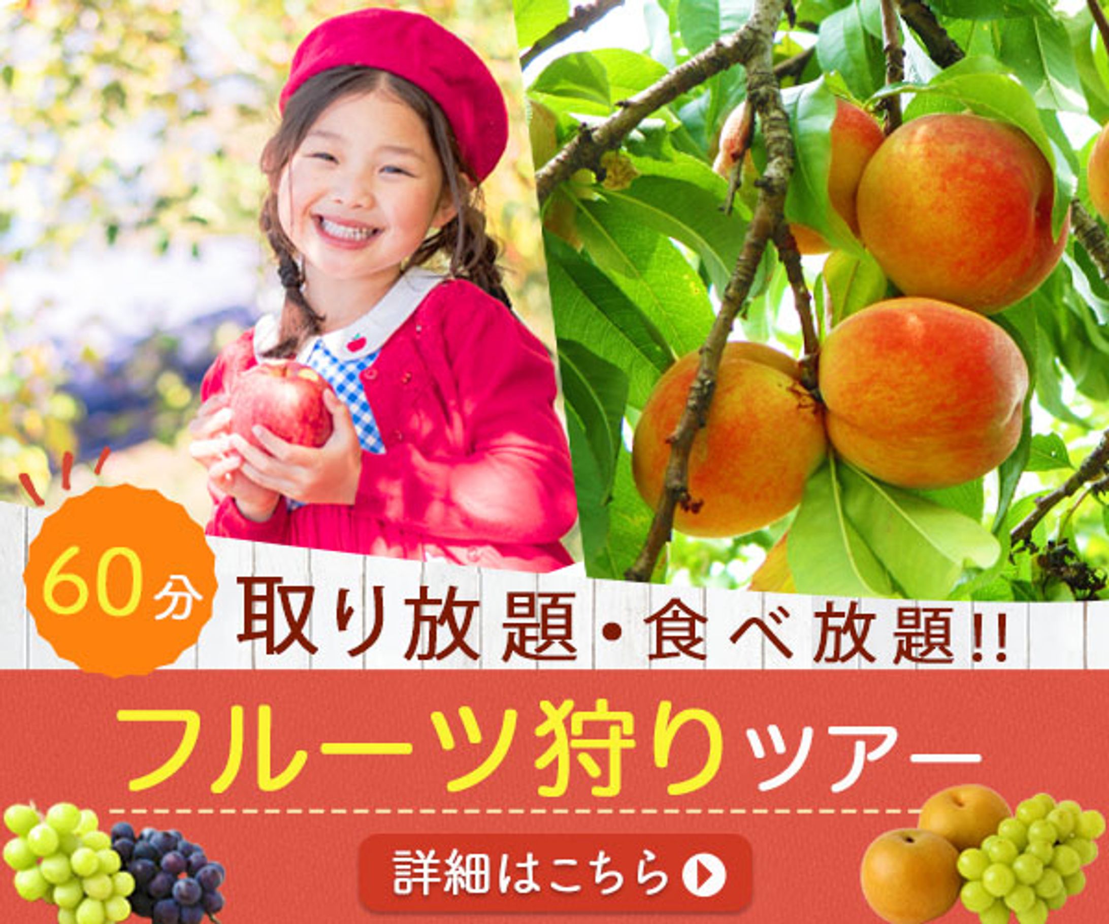 バナー：フルーツ狩り-1