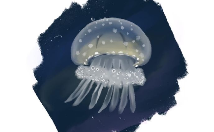 配信者、チラシ